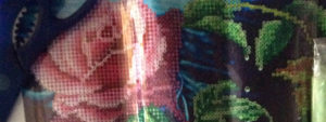 5D-painting-roos-header